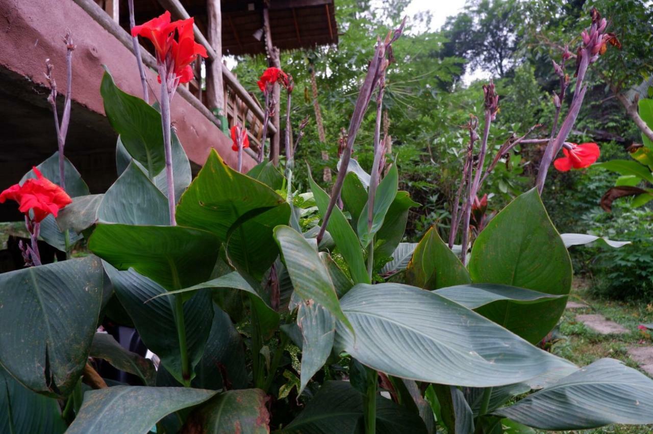 Hotel Phayam Garden View Koh Phayam Zewnętrze zdjęcie